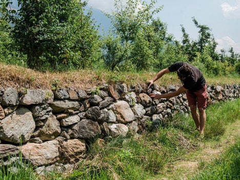 Il nostro ecosistema – che varietà!