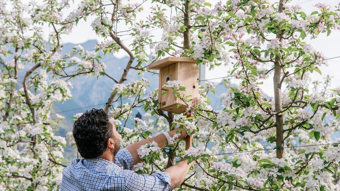 Nuestro ecosistema - ¡qué variedad!