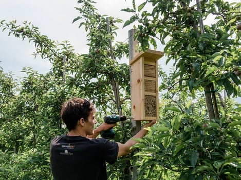 Nuestro ecosistema - ¡qué variedad!