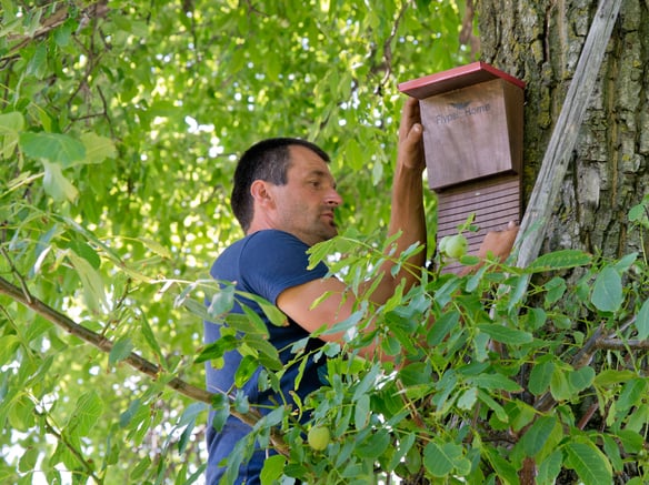 Il nostro ecosistema – che varietà!