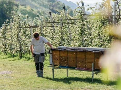 Il nostro ecosistema – che varietà!