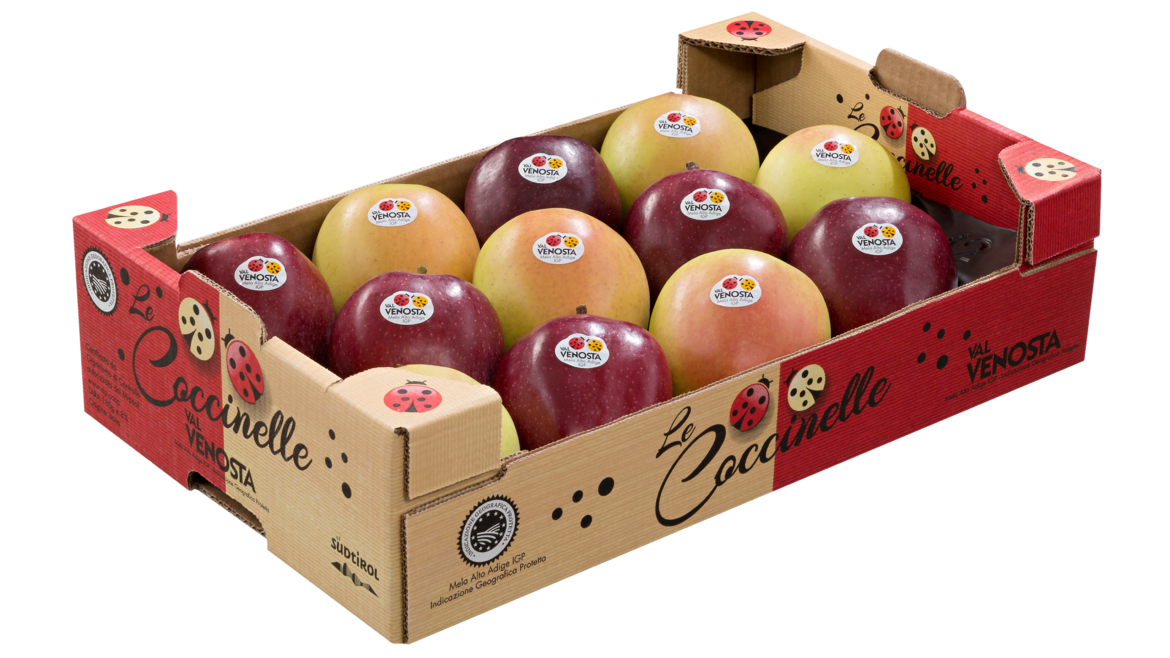 Le Coccinelle