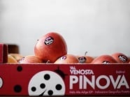 Madalenas de centeno con manzanas y pasas