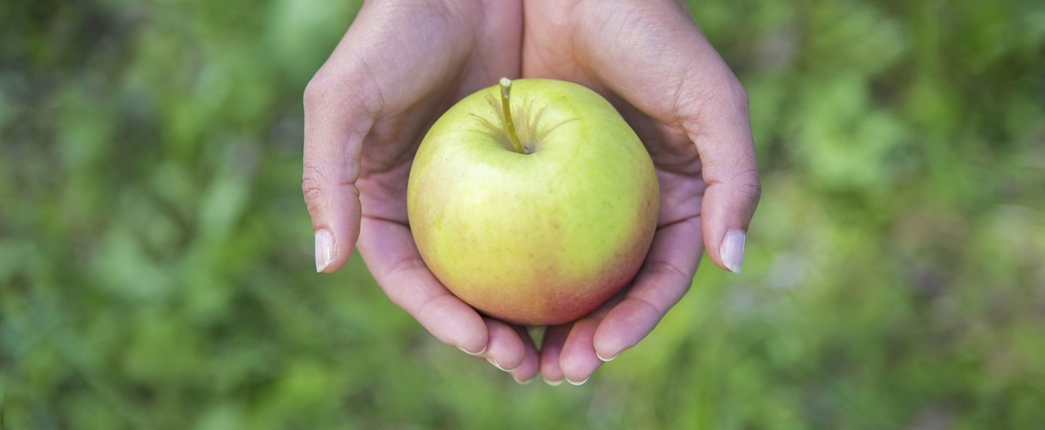 Las 10 virtudes de la manzana:<br>el sabor de la naturaleza