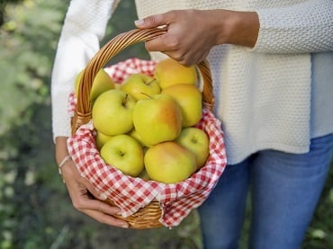 Las 10 virtudes de la manzana:<br>el sabor de la naturaleza
