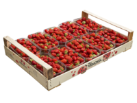 Fresas<br>Caja de madera