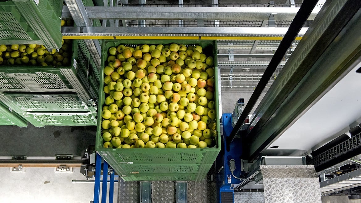 A spasso per i frutteti