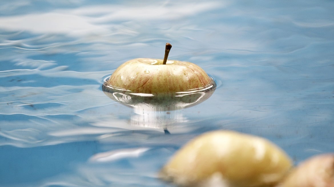 A spasso per i frutteti