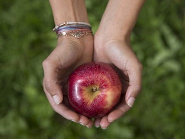 Ein Apfel für deine Schönheit!