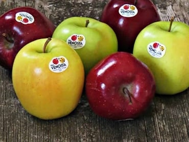 Ein Apfel für deine Schönheit!