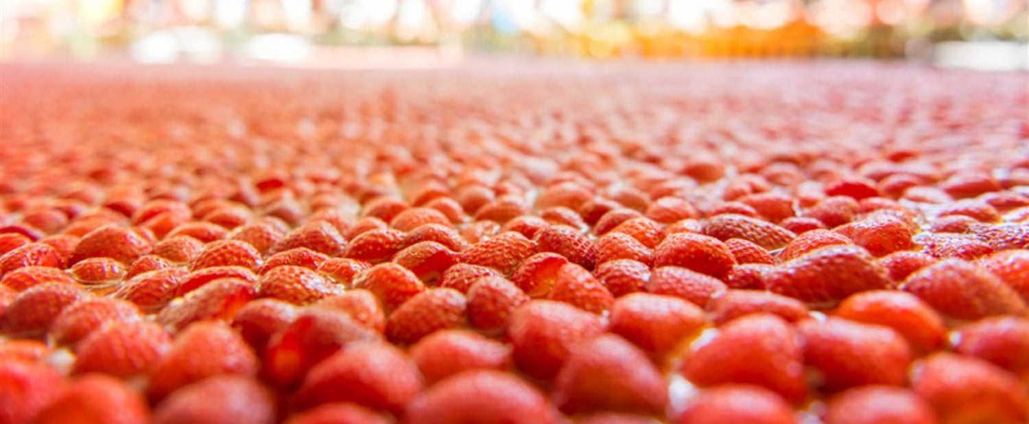 Festa delle Fragole 2018