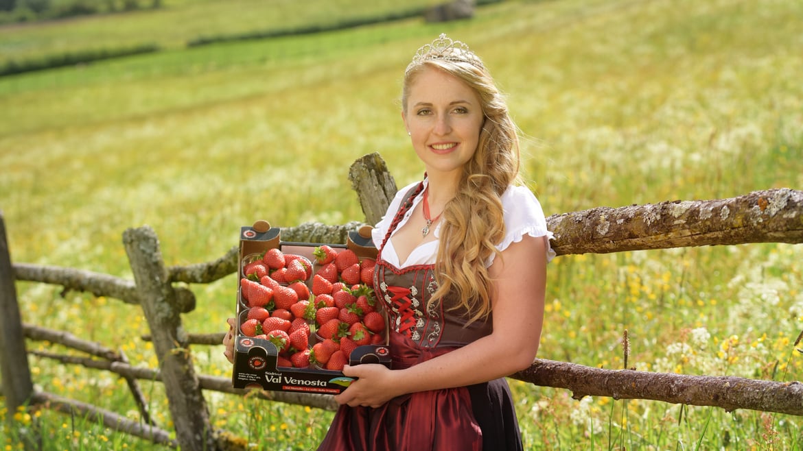 Festa delle Fragole 2018