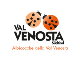 Albicocche