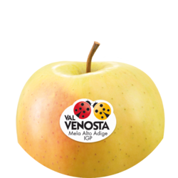 Golden Delicious