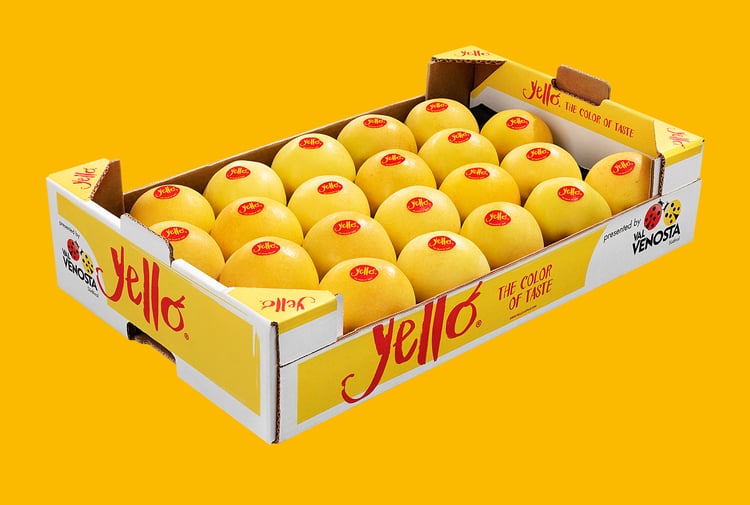 Shinano Gold / yello®