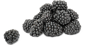 Blackberries