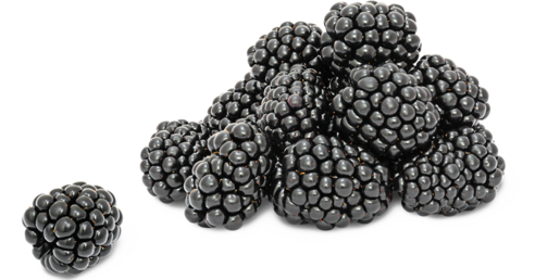 Blackberries