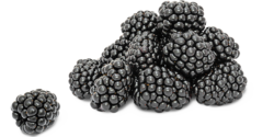 Moras