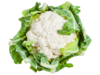 Coliflor