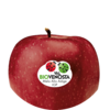 Red Delicious