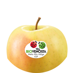 Golden Delicious