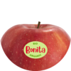 Bonita