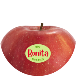 Bonita