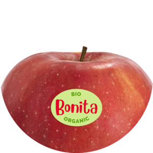 Bonita