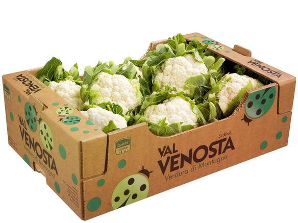 Cavolfiore