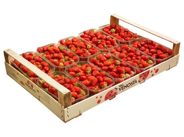 Fragole Val Martello...
