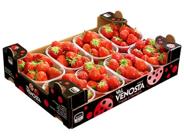 Fragole Val Martello...