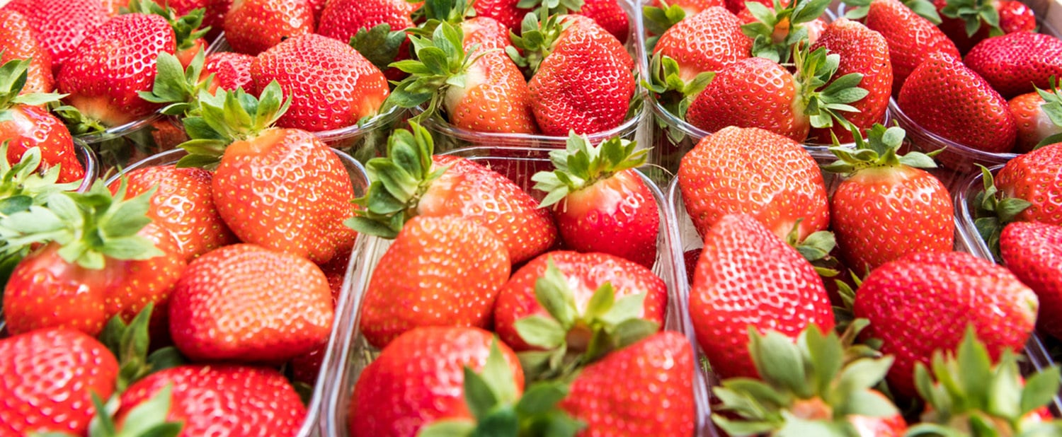 La confettura di Fragole della Val Martello
