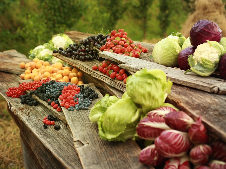 Quali sono i colori da portare a tavola d'estate?