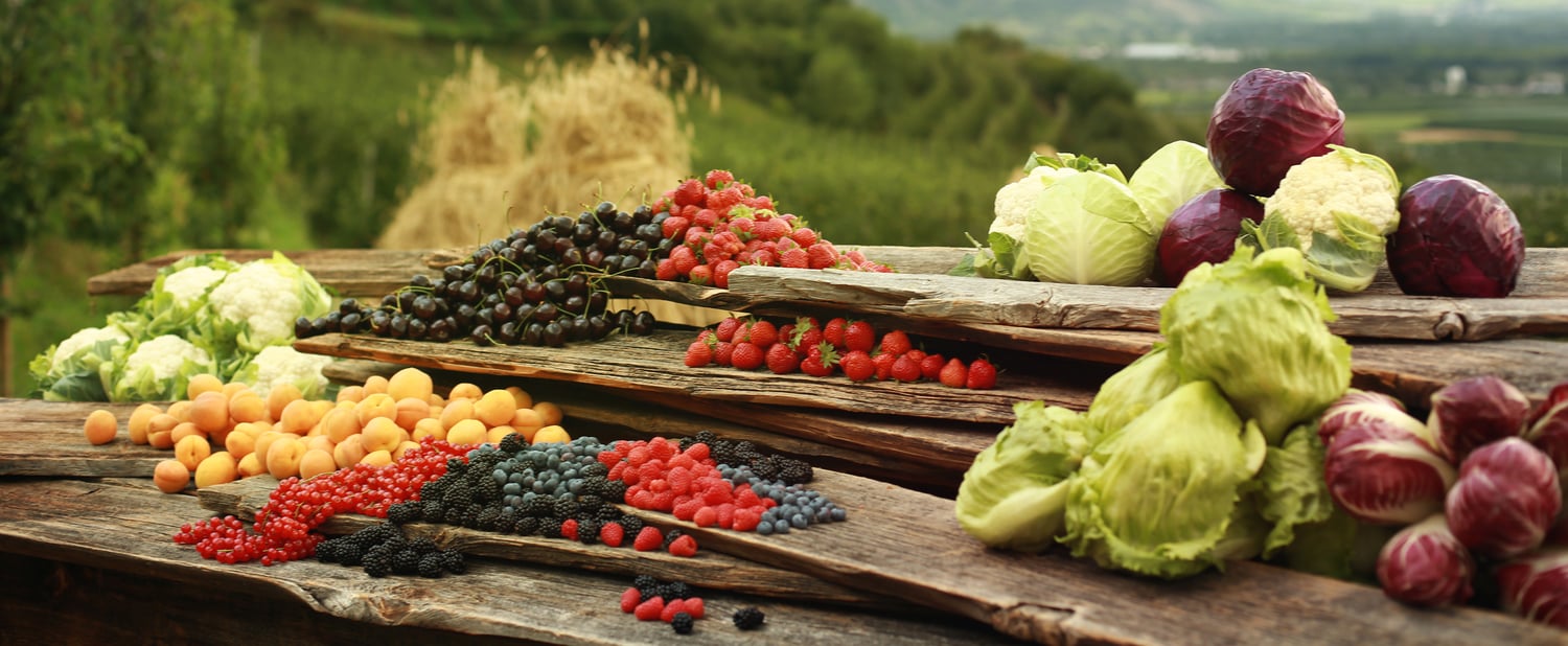Quali sono i colori da portare a tavola d'estate?