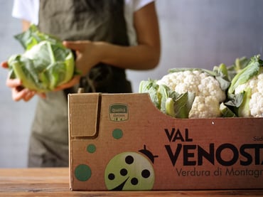 Saisonale Produkte aus dem Vinschgau