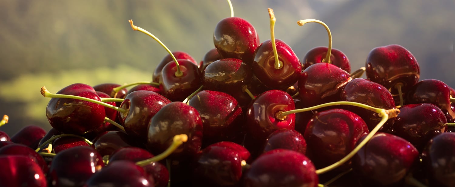 Mountain cherries from Val Venosta