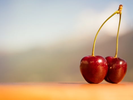 Mountain cherries from Val Venosta