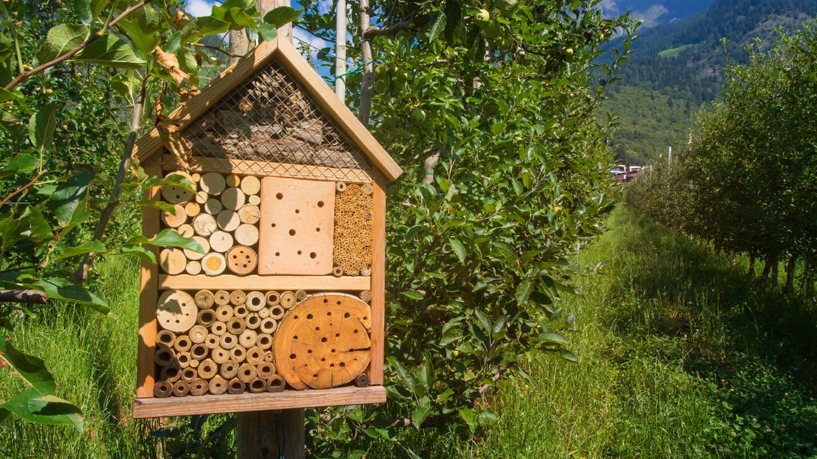 Più sostenibilità grazie a impegno e creatività