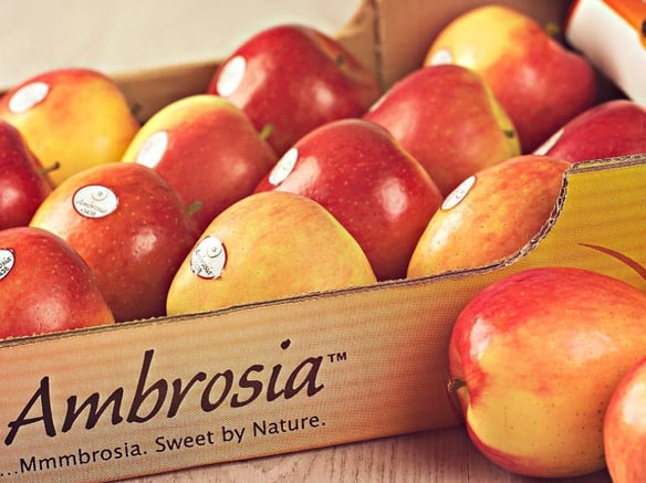 La manzana Ambrosia™