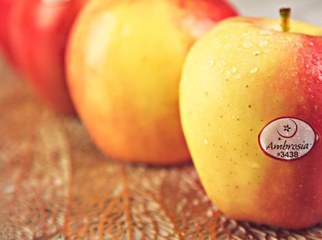 Ambrosia™