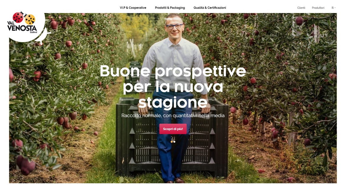 Nuovo sito VI.P Business