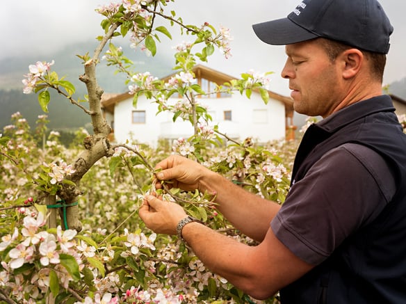 We are Val Venosta’s organic producers!<br>Nice to meet you!