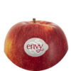 Scilate / envy™