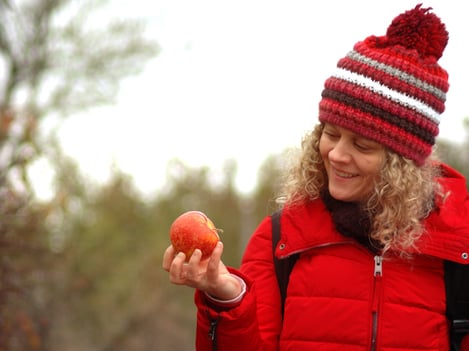 La historia del campo de manzanas "olvidado"