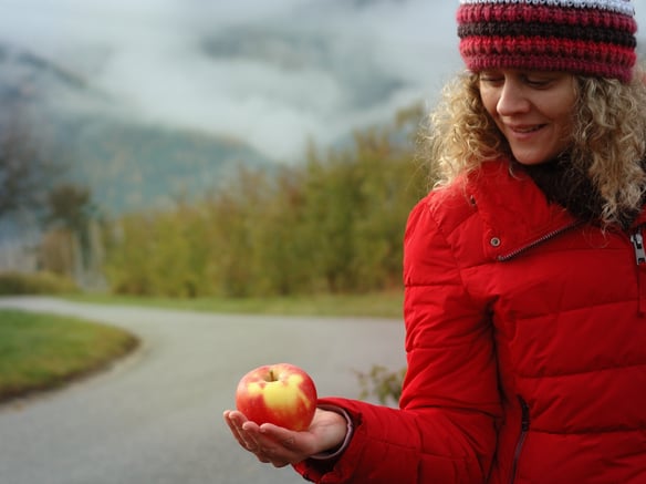 La historia del campo de manzanas "olvidado"