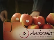 French Toast<br>con le mele Ambrosia™