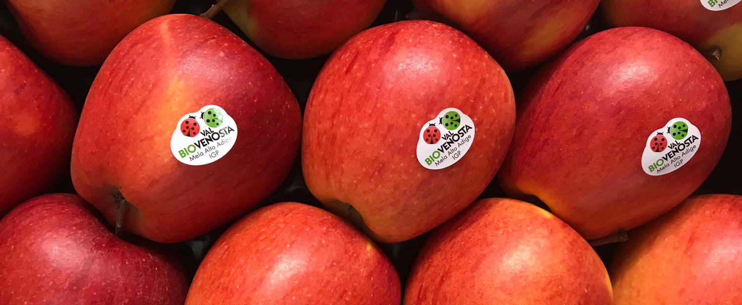Bio Vinschgau auf der BioFach 2019