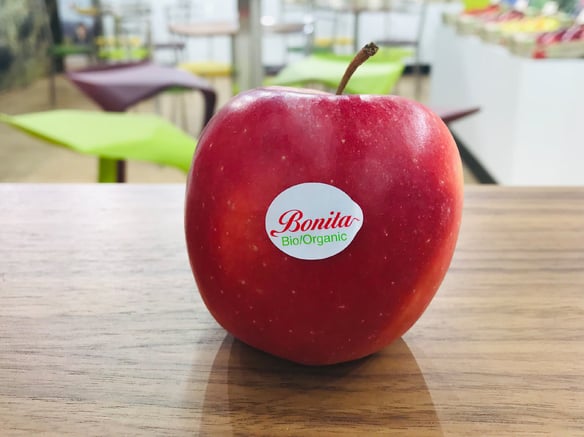 Bio Vinschgau auf der BioFach 2019
