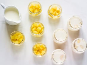 Panna cotta