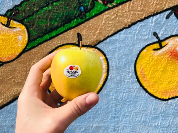 Kunstaktion mit dem Street-Art-Künstler „Cibo“